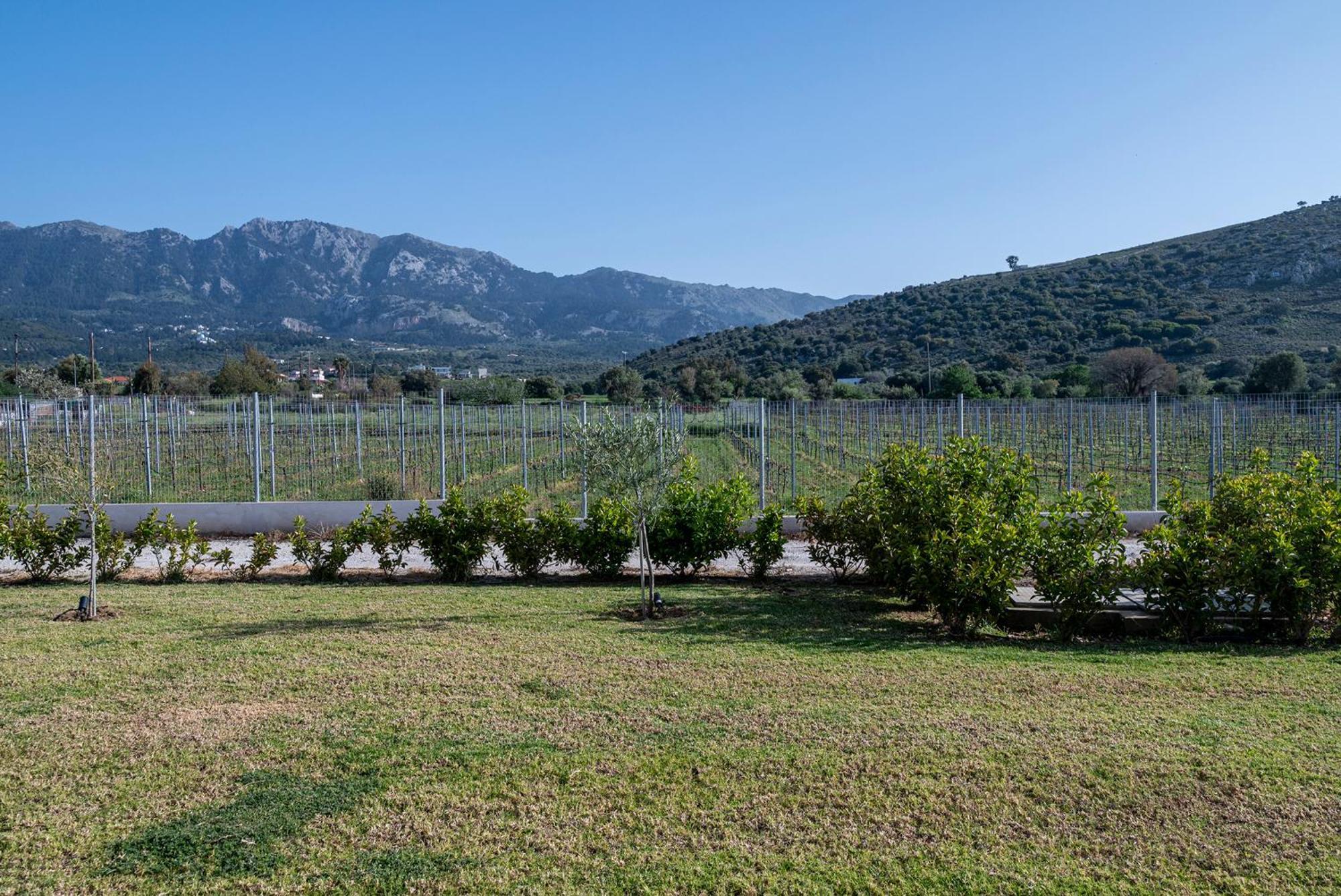 فيلا Olive Tree Garden Linopotis المظهر الخارجي الصورة